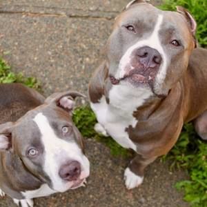 Meet your Posher, Em